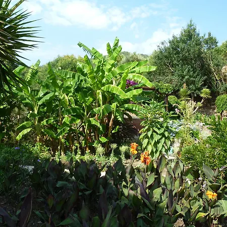 Sultan Ortaca (Mugla)